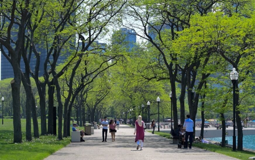 people walking on a path in a park