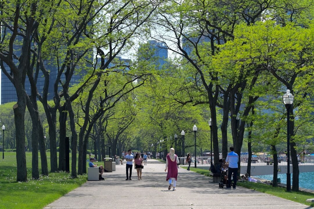 people walking on a path in a park
