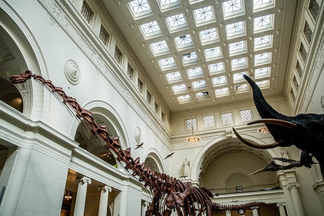 15 Things to Do in Chicago with Kids: The Ultimate Family Guide
