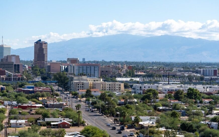 a view of a city with mountains in the background