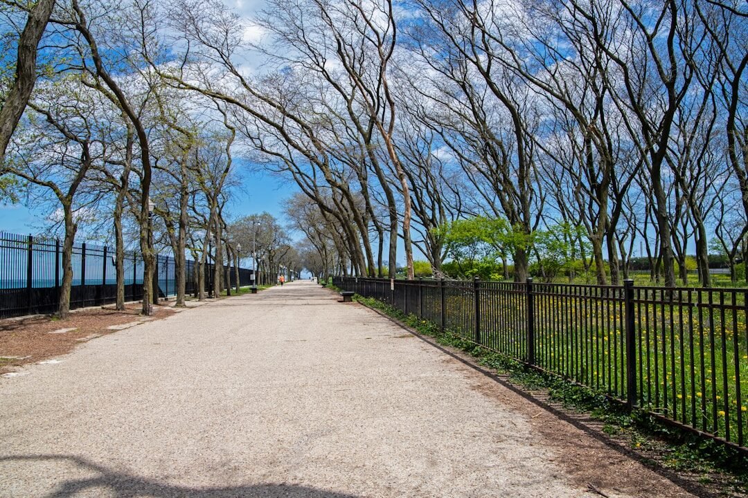 a road with a fence and trees on both sides
