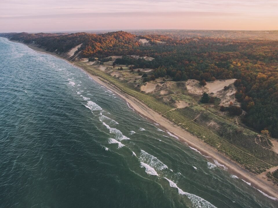 aerial photograph of seaside with forest