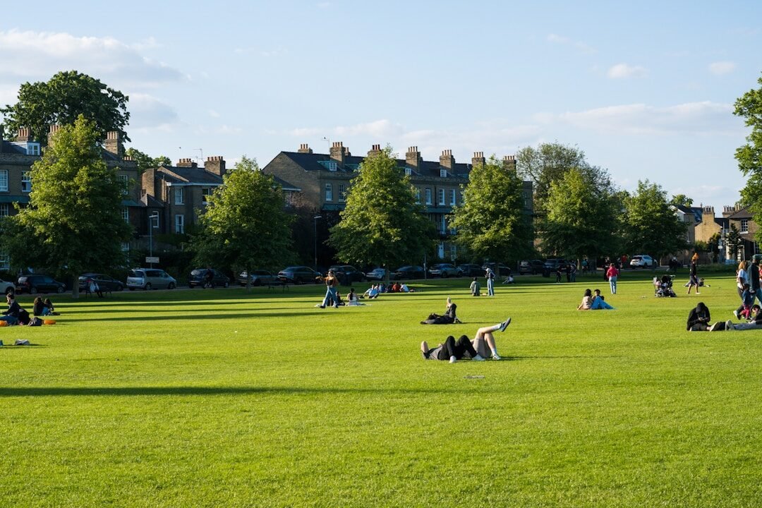 a group of people sitting on top of a lush green field