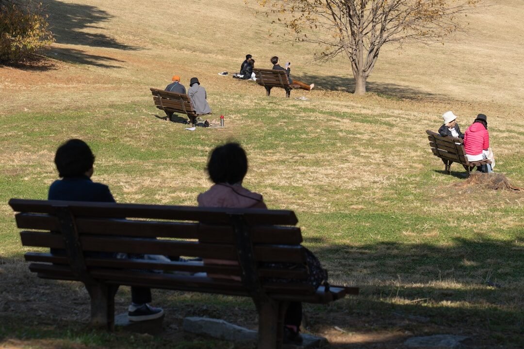 people sitting on benches in a park
