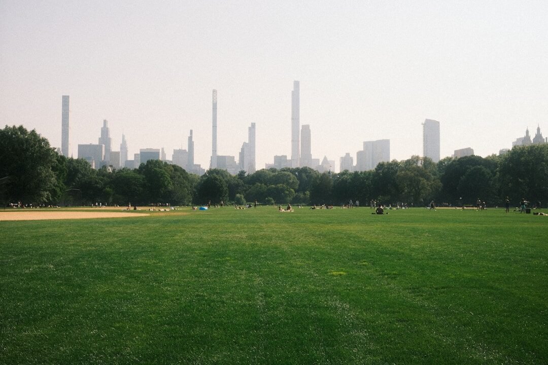 City skyline seen from a grassy park with trees.