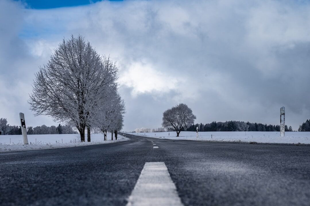 a snowy road with trees on both sides